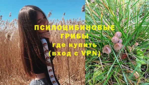 мет Каменногорск
