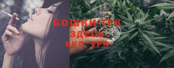 прущий лед Каменка