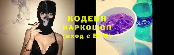 прущий лед Каменка
